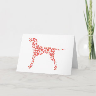 Cartão English Pointer