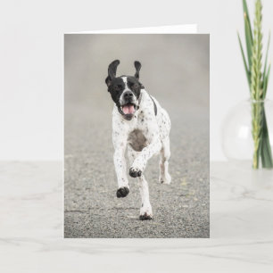 Cartão English Pointer Greeting Card