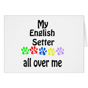 Cartão English Setter Walks Design
