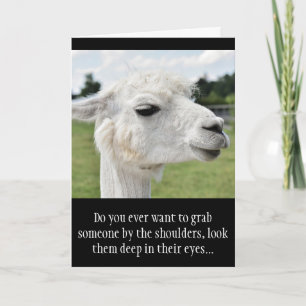 Cartão Engraçado Alpaca Llama Foto com Piada