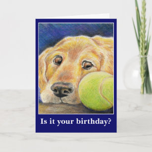 Cartão Engraçado aniversário de cão ou outra ocasião