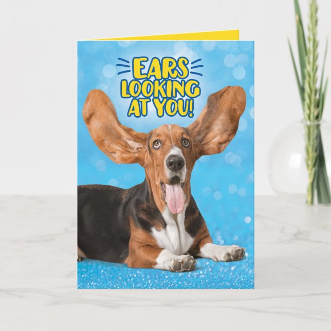 Cartão Engraçado Basset Hound Ears Olhando Para Vocês Par (Frente)