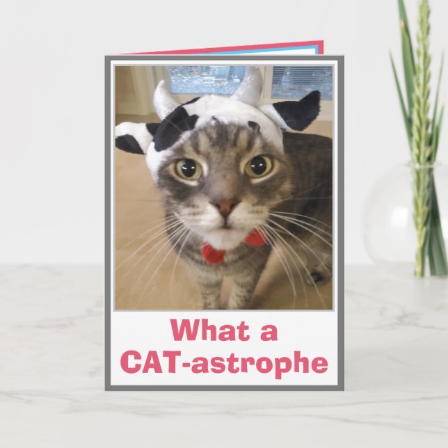 Cartão Engraçado Belo Aniversário (Frente)