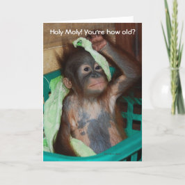 Cartão Engraçado Birthday Baby Orangutan