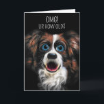 Cartão Engraçado Borda Collie Cartoon Estilo Aniversário<br><div class="desc">Uma pintura engraçada de collie de fronteira com olhos grandes exagerados e boca aberta em um estilo de desenho para oferecer o quê? a expressão foi emparelhada com um tema de chat de texto divertido e tanto o texto frontal da carta como o verso dentro podem ser alterados por você...</div>