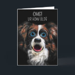 Cartão Engraçado Borda Collie Cartoon Estilo Aniversário<br><div class="desc">Uma pintura engraçada de collie de fronteira com olhos grandes exagerados e boca aberta em um estilo de desenho para oferecer o quê? a expressão foi emparelhada com um tema de chat de texto divertido e tanto o texto frontal da carta como o verso dentro podem ser alterados por você...</div>