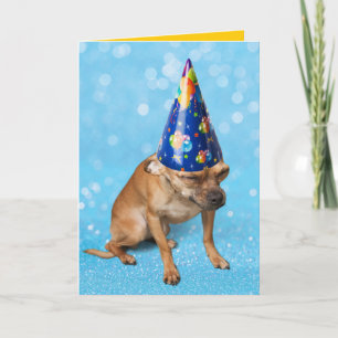 Cartão Engraçado Chihuahua Em Chapéu Festa de aniversá
