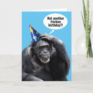 Cartão Engraçado Chimpanzé Velho Com Festa Que Aniversári