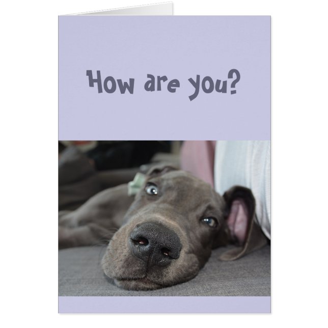 Cartão Engraçado Distorção Social Menina Seu Grande Cacho (Frente)