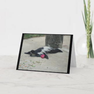 Cartão engraçado do macaco