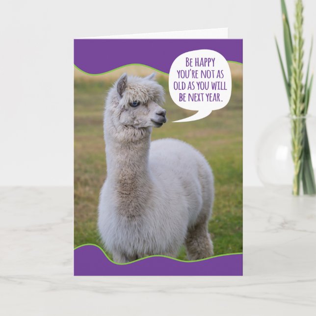 Cartão Engraçado Dolly Llama Birthday Wisdom (Frente)