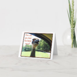 Cartão Engraçado Emu Últimas Notícias Do Gossip Card