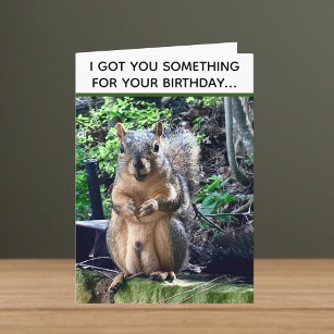 Cartão Engraçado Esquilo Deez Loucos Aniversário Inapropr