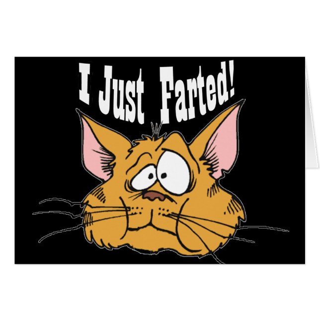 Cartão Engraçado eu apenas Farted presentes rudes (Frente Horizontal)
