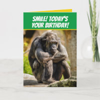 Engraçado Fazendo Chimpanzé Como Um Velho Engraçad