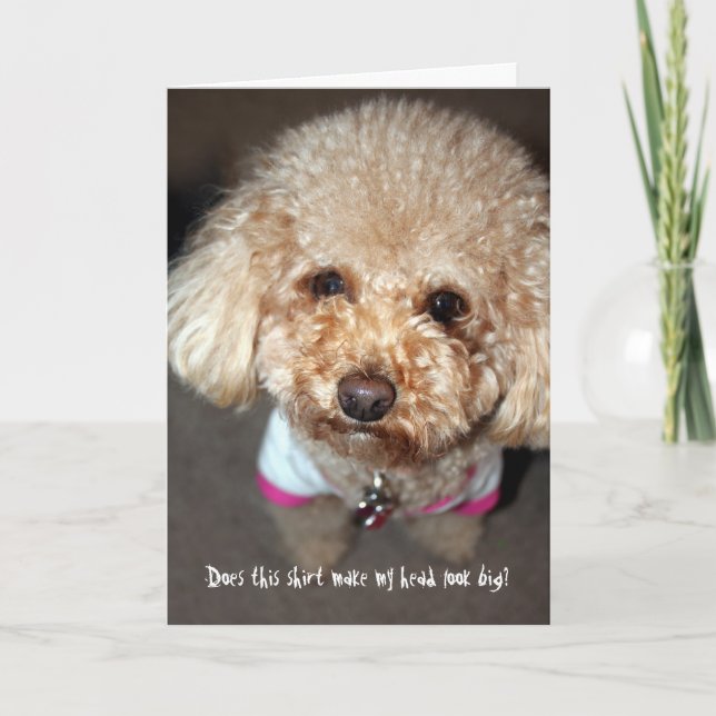 Cartão Engraçado ficar bem. (Frente)