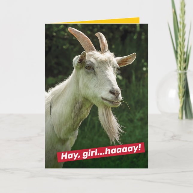 Cartão Engraçado Garota, Ei Ryan Gosling Goat Spoof (Frente)