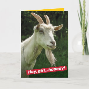 Cartão Engraçado Garota, Ei Ryan Gosling Goat Spoof