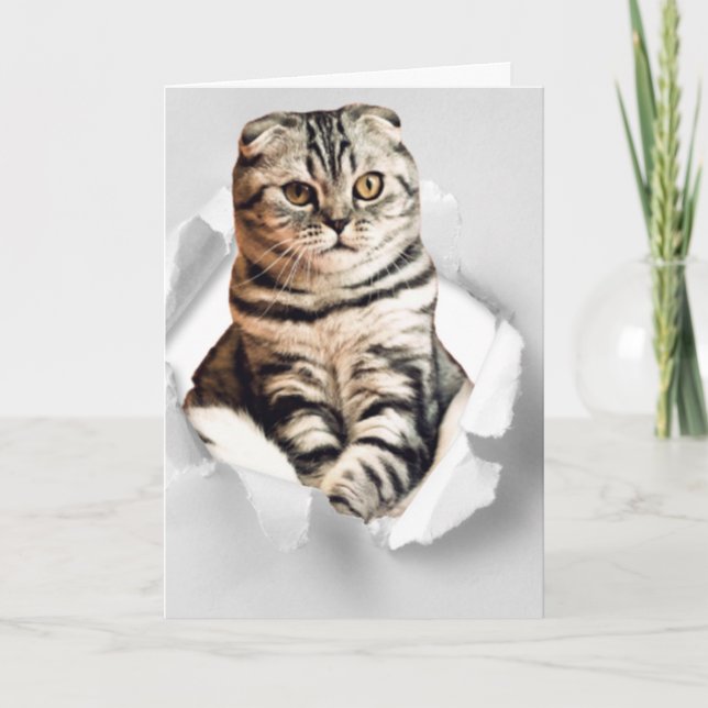 Cartão Engraçado ilusão de papel rasgado por um gato gráf (Frente)