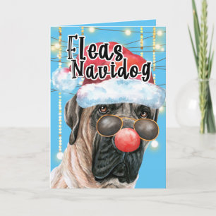 Cartão Engraçado Inglês Mastiff Frota de Natal Navidog