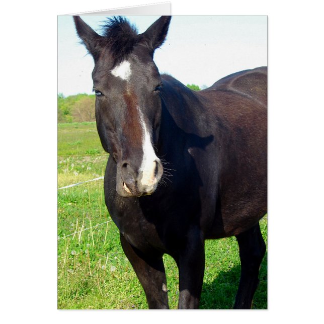 Cartão Engraçado Mare (Frente)