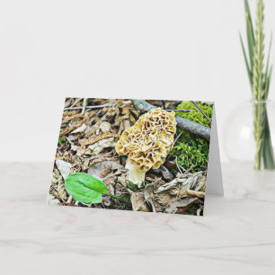 Cartão Engraçado, mas Romântico, Humor de Cogumelo Eu T