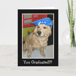 Cartão Engraçado Ouro Retriever Você Graduou