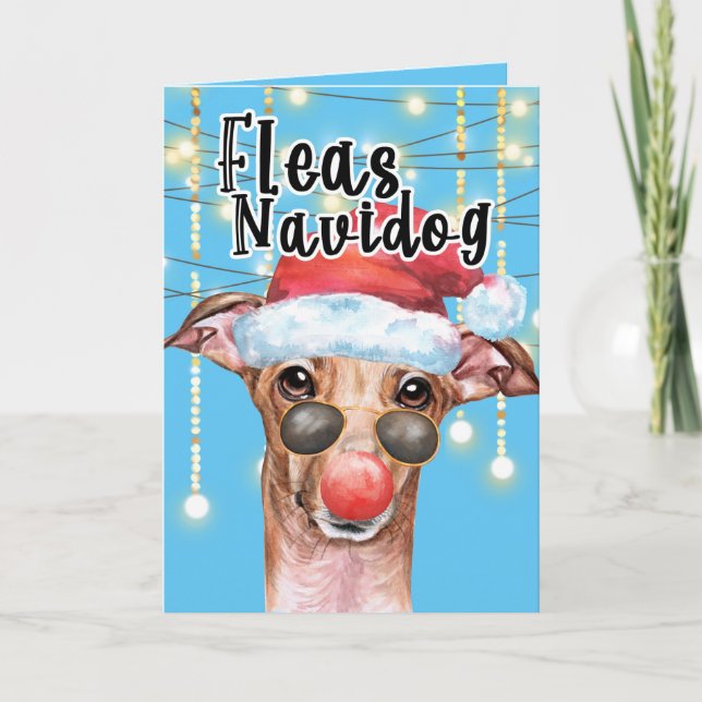 Cartão Engraçado Papai noel Greyhound cão Foguete de Nata (Frente)