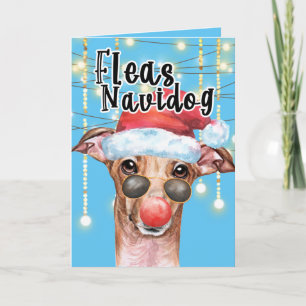 Cartão Engraçado Papai noel Greyhound cão Foguete de Nata