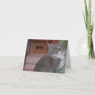 Cartão Engraçado pensar em você