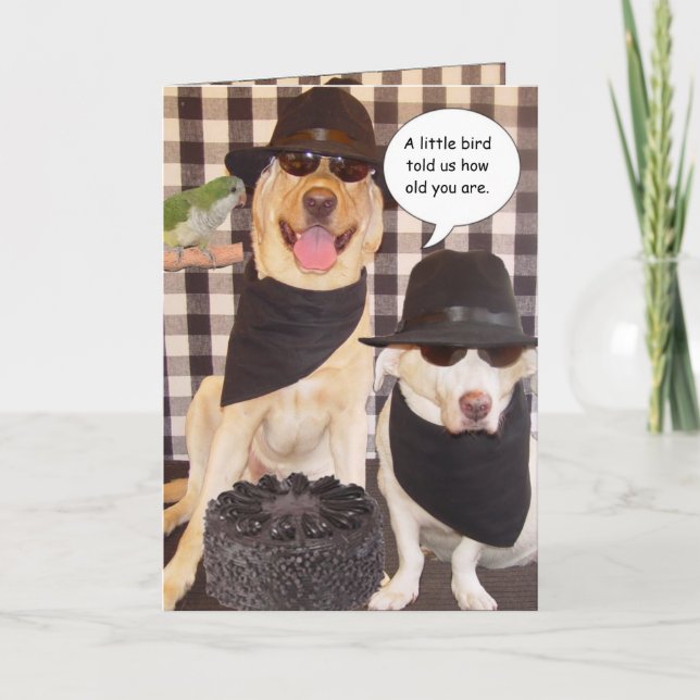 Cartão Engraçado por cima do morro (Frente)