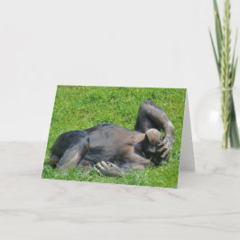 Cartão Engraçado Relaxando Chimpanzé Foto Animal