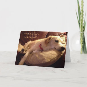 Cartão Engraçado Se Dar Bem, Óculos De Cachorro Que Dorme