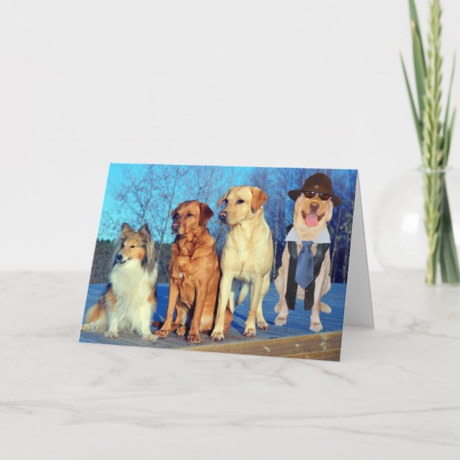 Cartão Engraçado, um bom aniversário de laboratório (Frente)