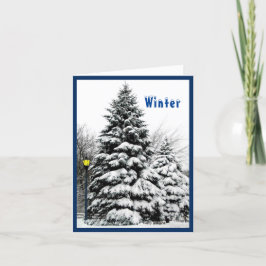 Cartão Ensino das Quatro Estações do Ano