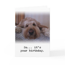 Então... É seu aniversário