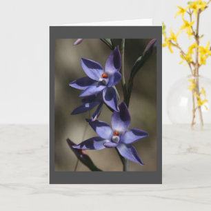 CARTÃO ENTÃO "MUITO DESCULPE" POR "SUA PERDA"