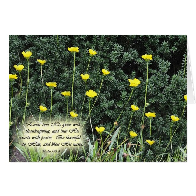 Cartão EnterintoHisgatesZazzle (Frente horizontal)