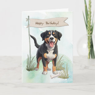 Cartão Entlebucher Mountain Dog Sob Sinal De Aniversário