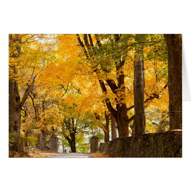 Cartão Entrada do recurso de Allenberry (Frente Horizontal)