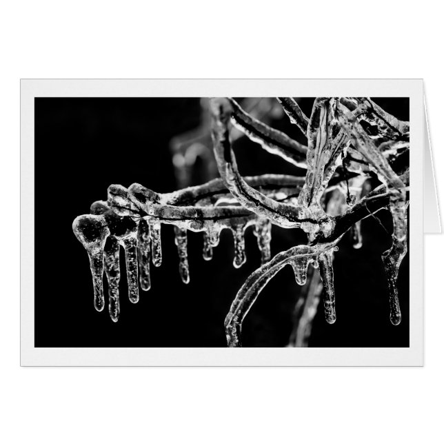 Cartão entrar no inverno gelado (Frente Horizontal)