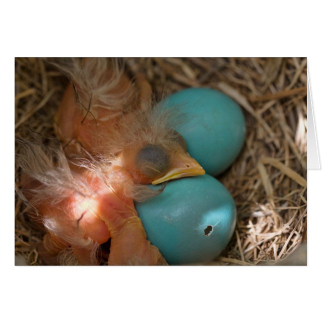 Cartão Entre irmãos (Frente Horizontal)