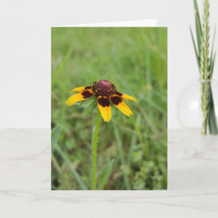 Cartão Entre os Wildflowers Notecards (vazio para dentro)