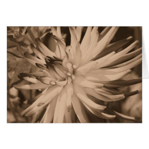 Cartão envelhecido da fotografia da flor da dáli