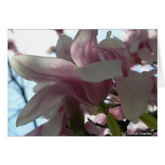 Cartão Enviando meu amor com flores