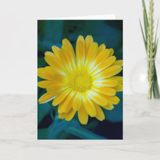 Cartão Envie a flor a seus amigos que dura