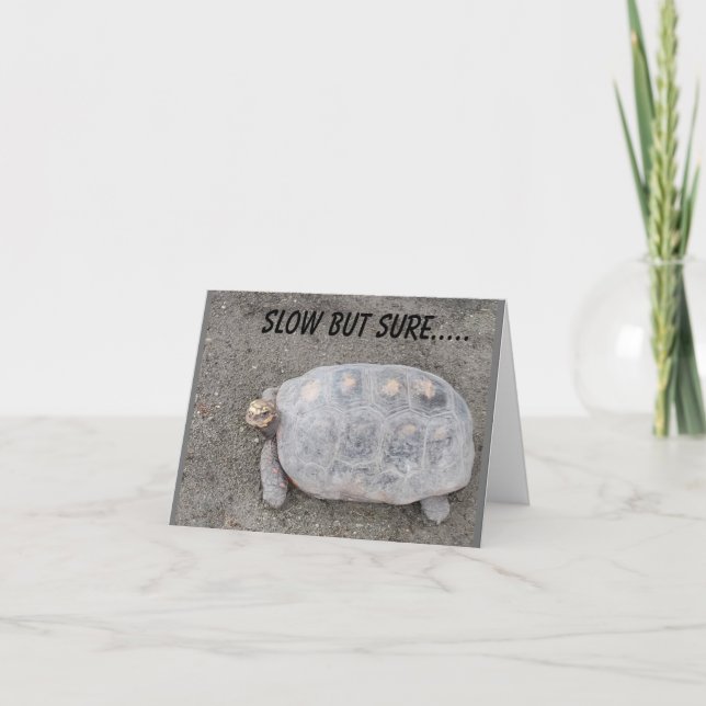 CARTÃO ENVIOS LENTOS, MAS SEGUROS, DA TARTARUGA *70 ANIVE (Frente)