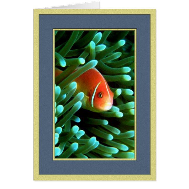 Cartão Episando Tom (Frente)