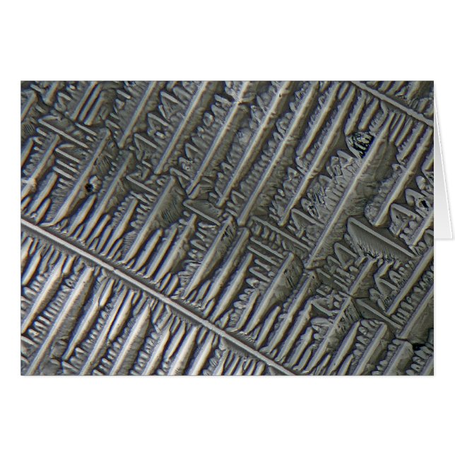 Cartão Epsomite sob o microscópio (Frente Horizontal)