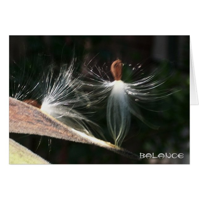 Cartão Equilíbrio (Frente Horizontal)